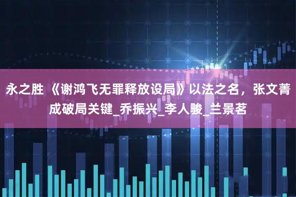 永之胜 《谢鸿飞无罪释放设局》以法之名,张文菁成破局关键_乔振兴_李人骏_兰景茗